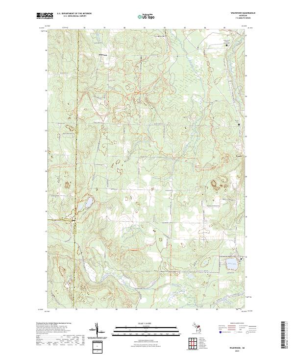 US Topo 7.5-minute map for Wildwood MI For Discount