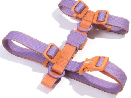 Zee.Dog Neopro Dog H-Harness (Iris) Sale