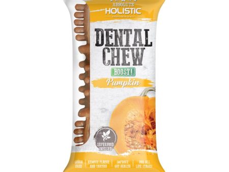 12 FOR $12: Absolute Holistic Boost Pumpkin Grain-Free Dental Dog Chew 25g For Sale