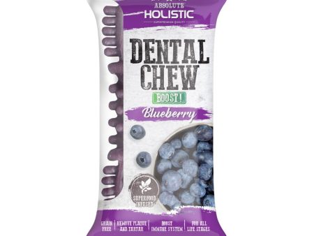 12 FOR $12: Absolute Holistic Boost Blueberry Grain-Free Dental Dog Chew 25g Hot on Sale