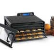 Excalibur Dehydrator 5 Tray Cheap