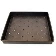 Sprouting Tray (Large) Online Hot Sale