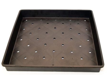 Sprouting Tray (Large) Online Hot Sale