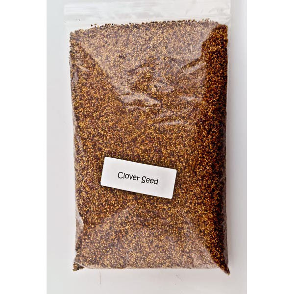 Clover Seeds 1lb For Sale