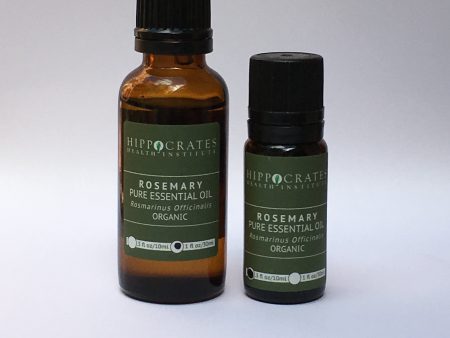 Rosemary Essential Oil Supply