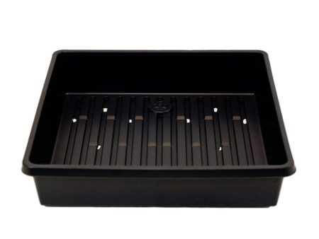 Sprouting Tray (Small) Online