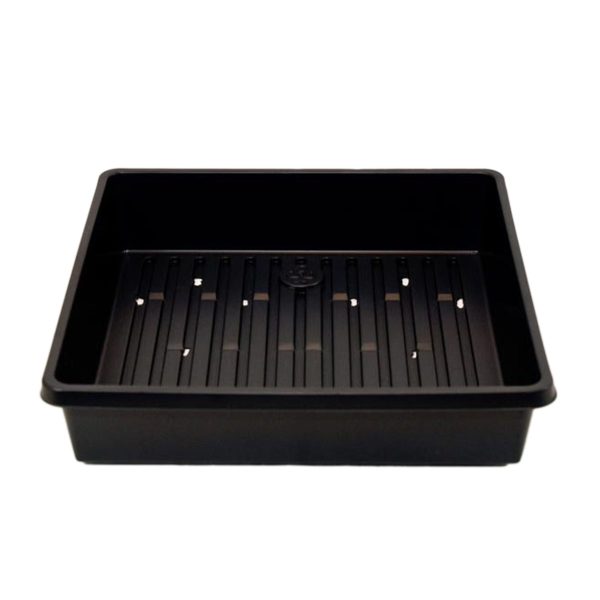 Sprouting Tray (Small) Online